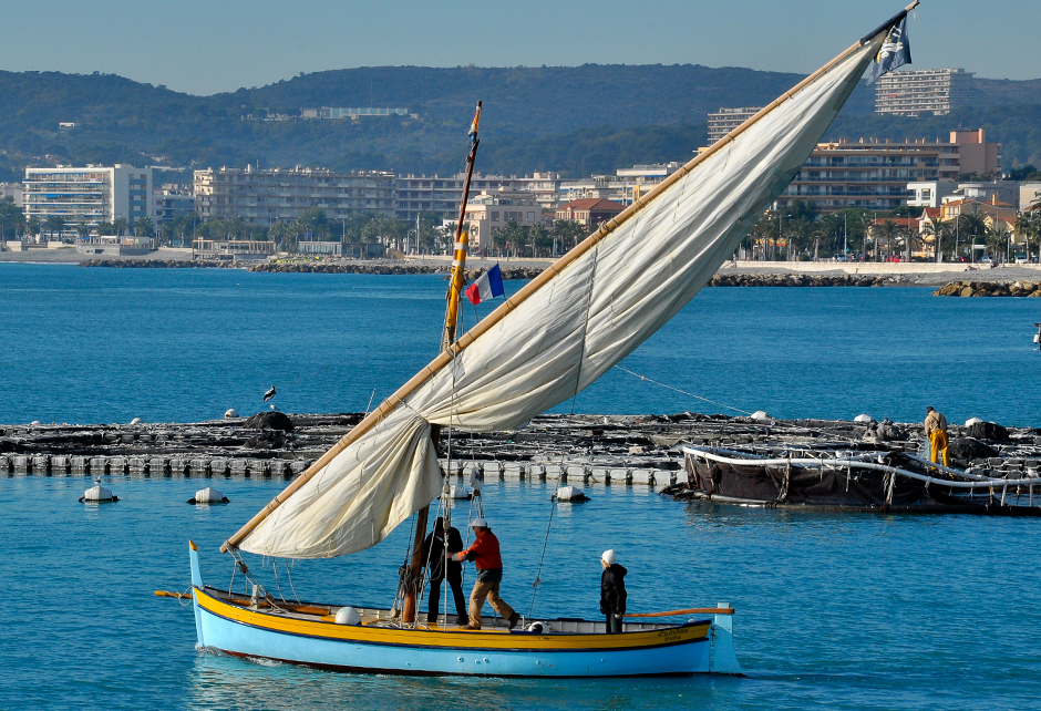 Catalina - Cros-de-Cagnes (06)